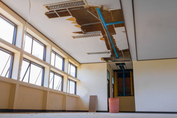 Best Sewage cleanup and water damage restoration  in Grass Valley, CA