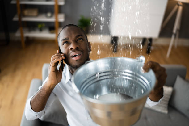 Best Local water damage restoration  in Grass Valley, CA