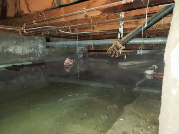 Best Commercial water damage restoration  in Grass Valley, CA