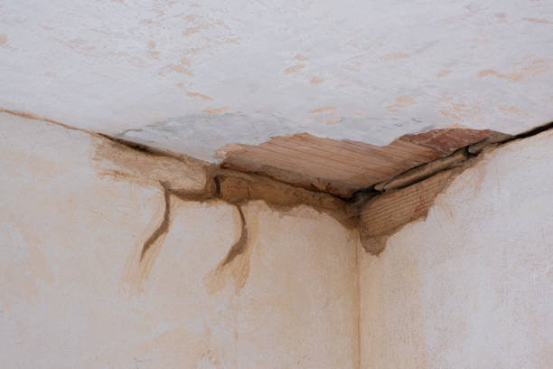 Best Water damage restoration process  in Grass Valley, CA