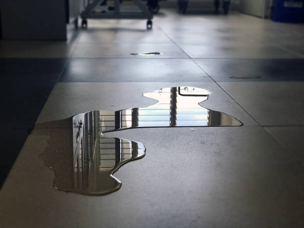 Best Water damage restoration experts  in Grass Valley, CA