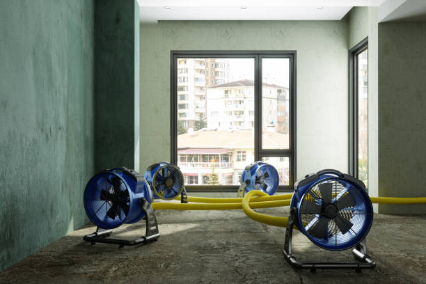 Best Water damage cleanup near me  in Grass Valley, CA